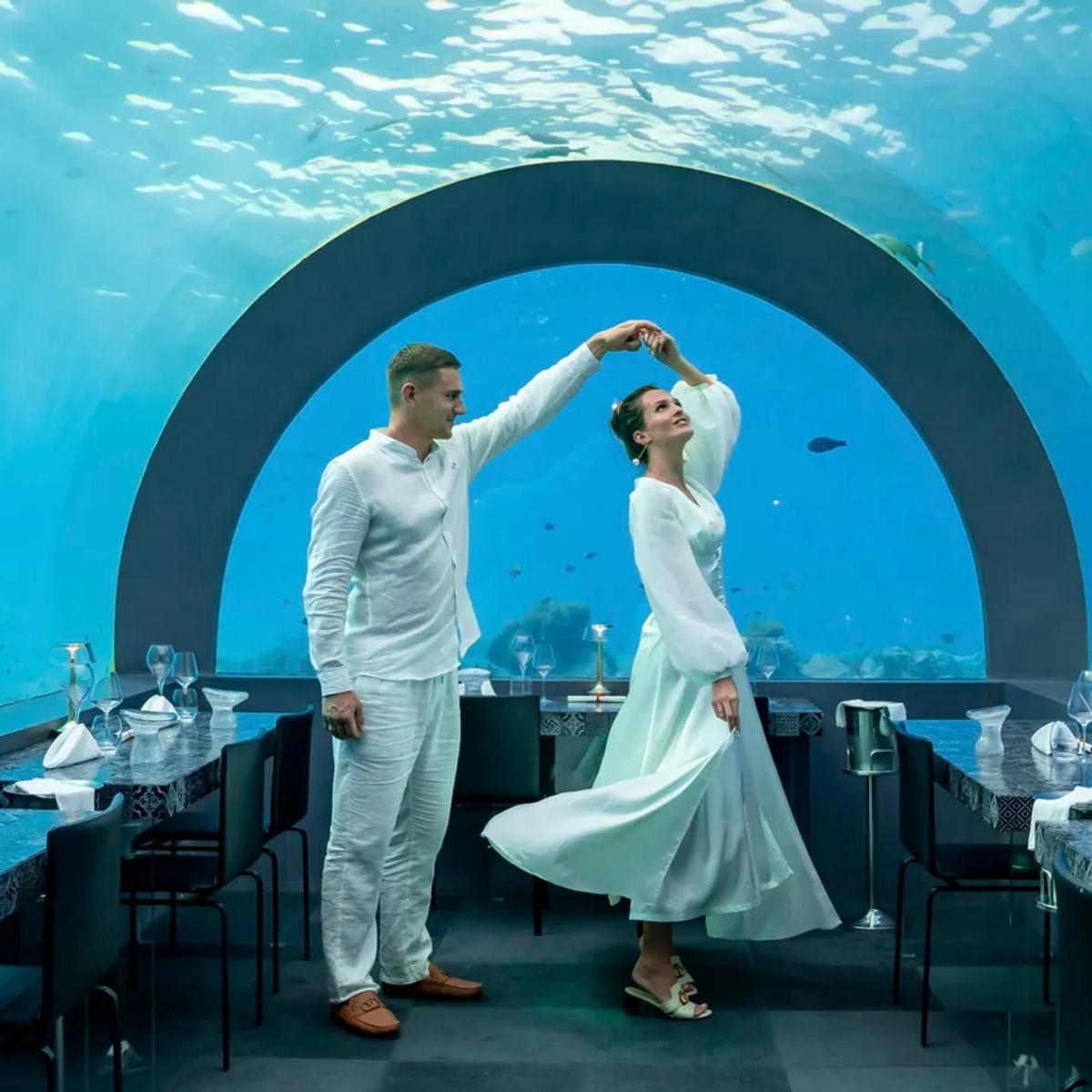 Maldives Diving and Snorkelling: A Guide to the Ocean Beneath