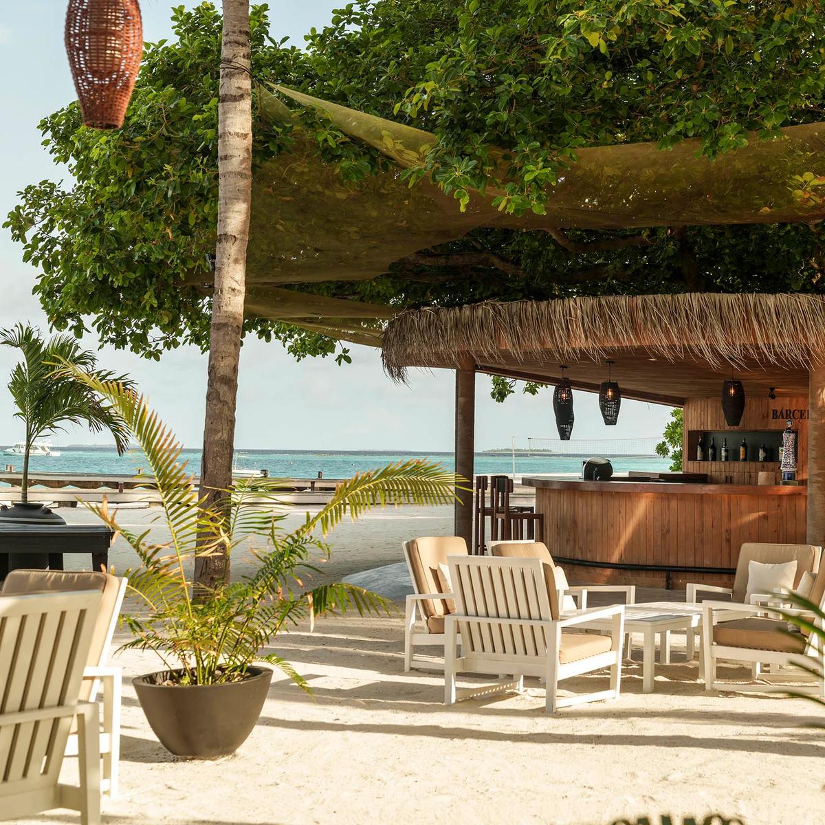 A wooden bar counter stocked with bottles beneath a thatched roof, with lounge seating open to the beach at Waters Edge
