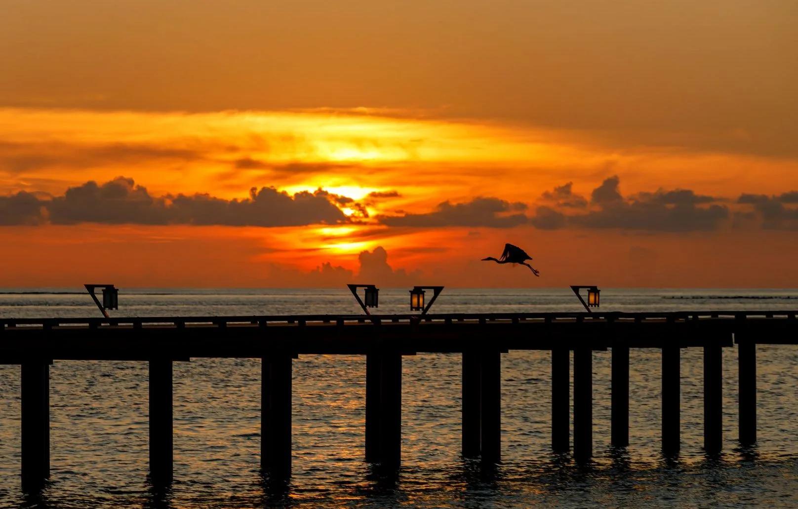 Silhouette of an overwater jetty and lantern posts against an orange sunset sky, with a bird in flight