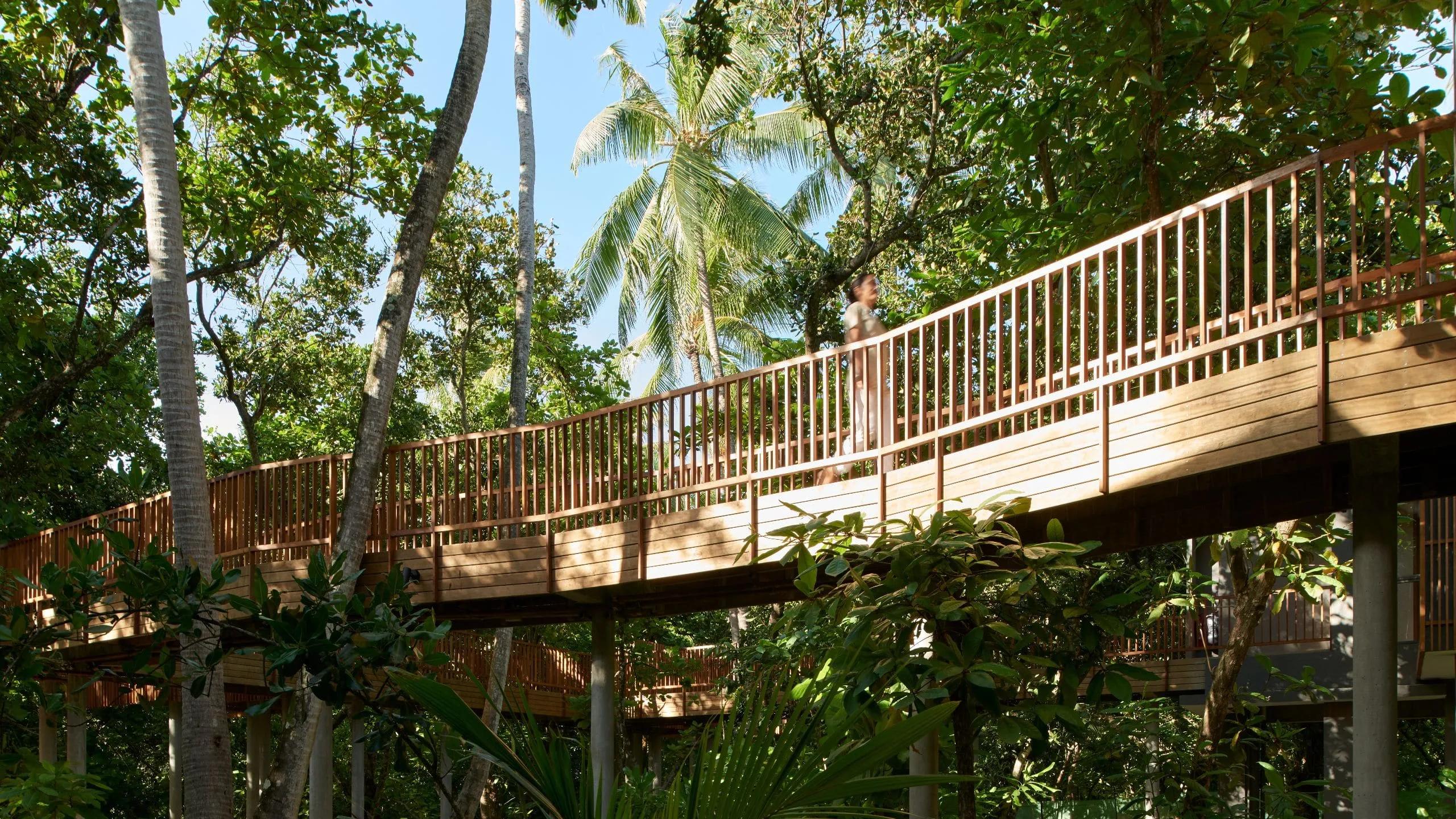 The covered bridge walkway leading into Spa Alila's treetop treatment pavilions