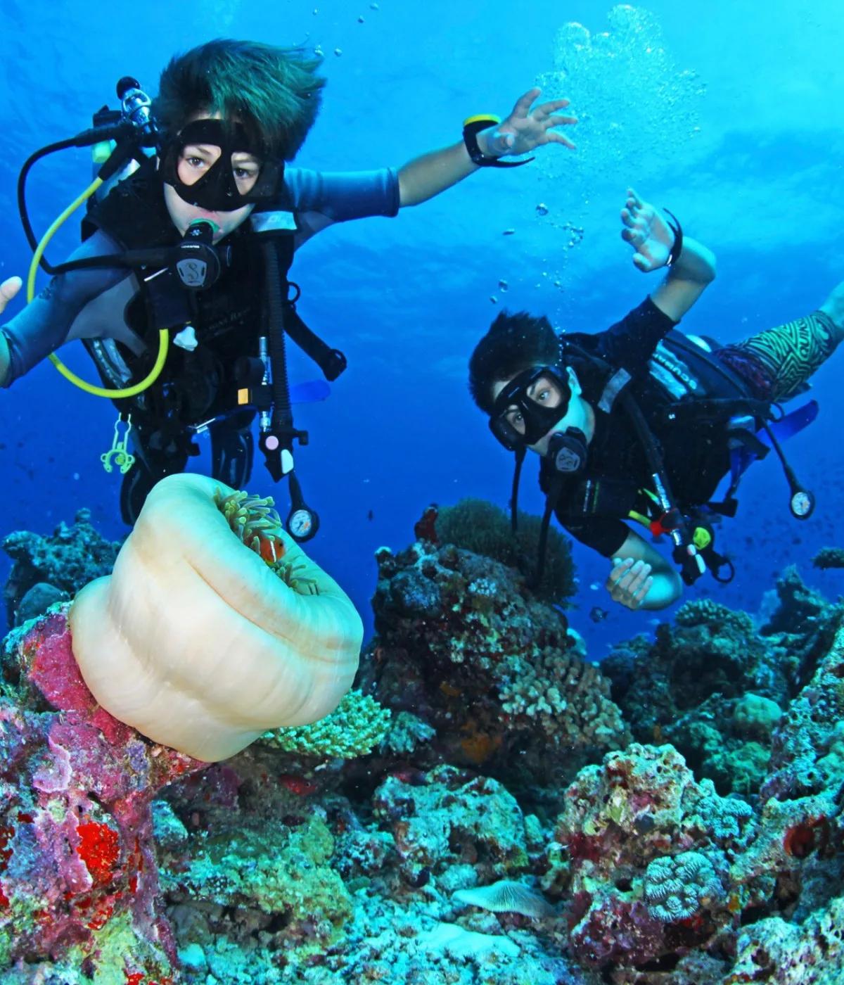 Two young divers exploring the reef at SO/ Maldives, a pale anemone and its resident clownfish in the foreground