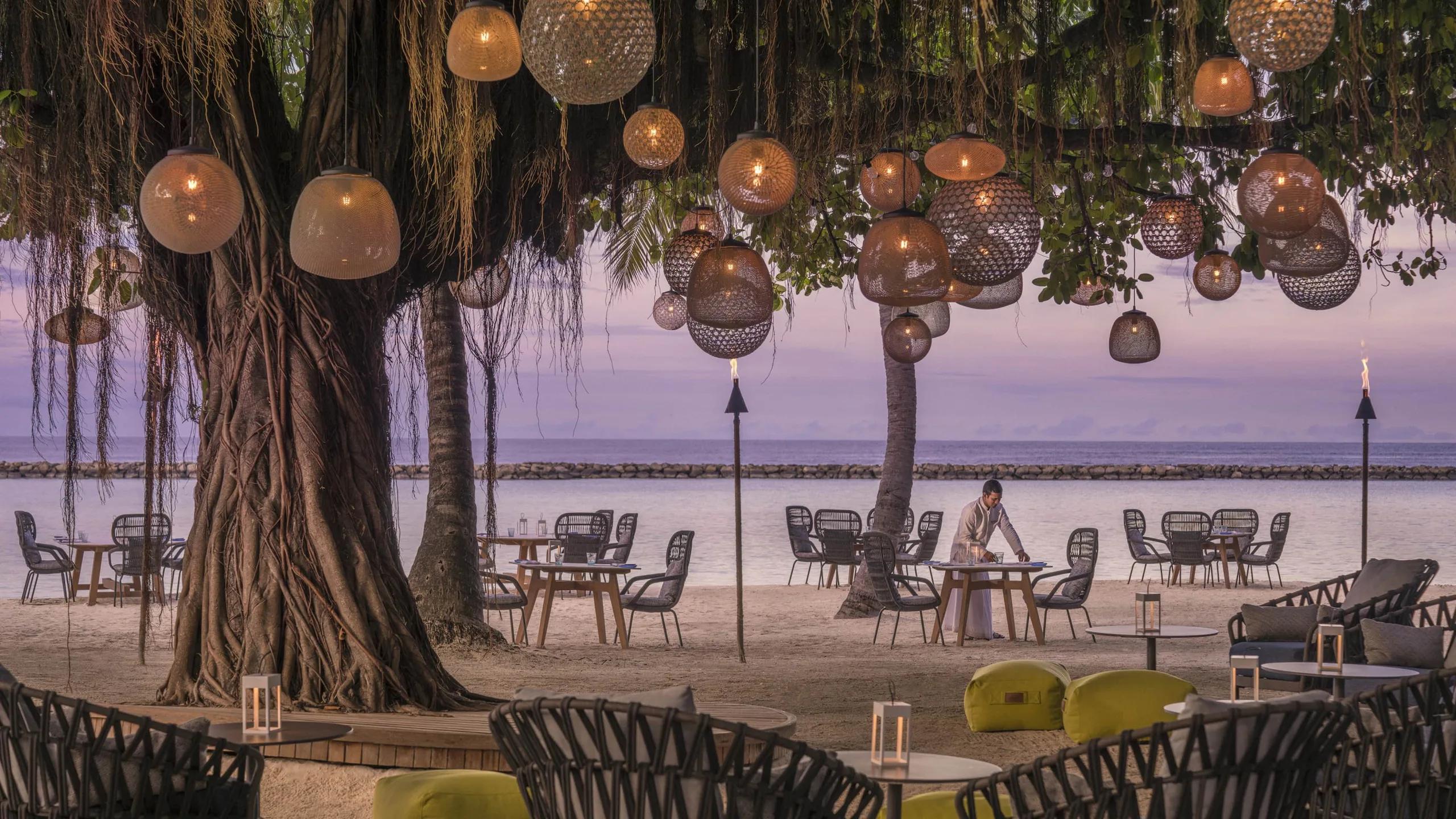 Beachfront tables set for dinner beneath a banyan tree strung with lanterns at Fuego Grill, staff preparing a table at dusk