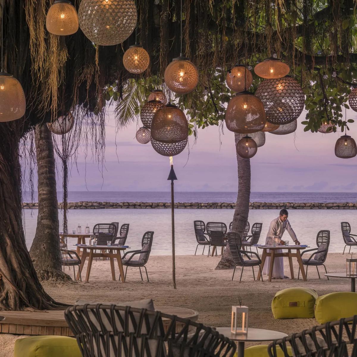 Beachfront tables set for dinner beneath a banyan tree strung with lanterns at Fuego Grill, staff preparing a table at dusk
