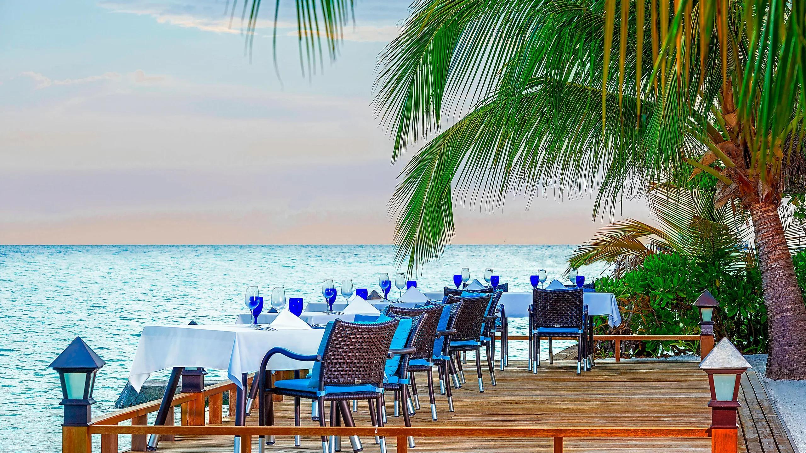 Sea Salt's outdoor tables set beneath string-lit trees, with the pool and beach visible beyond