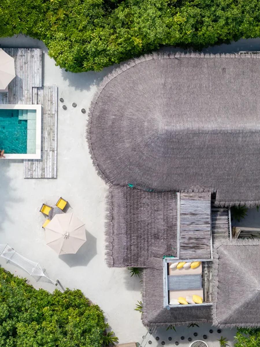 A villa's private pool and sundeck seen from directly above, screened by palm trees on every side