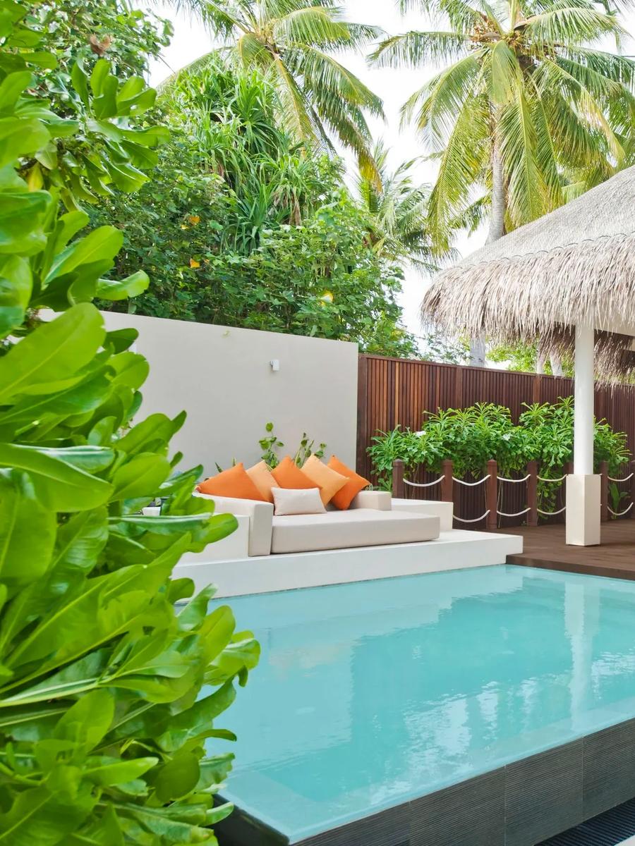 A Family Beach Suite's plunge pool, daybed, and separate dining pavilion among palms