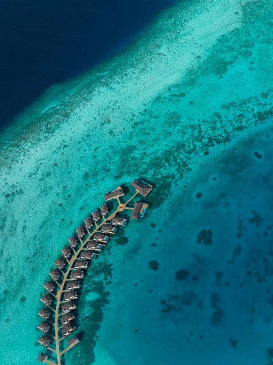 Aerial view of Avani+ Fares Maldives Resort's reef and lagoon — the resort has not published dedicated photography for its beach-and-room categories, including the Premium Ocean View Room