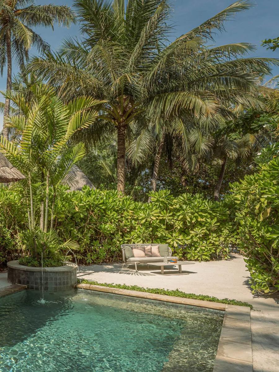 A Garden Pavilion's private pool, set back among palms away from the beach