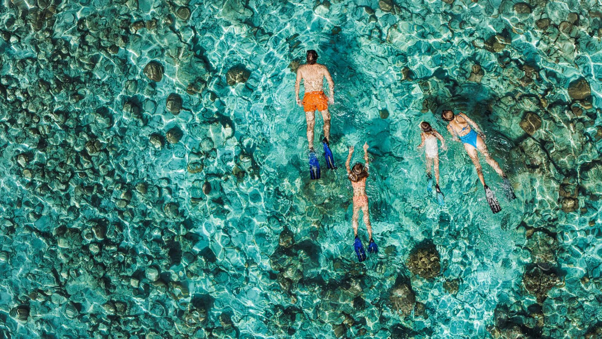 A family snorkelling together over the shallow house reef, seen from above