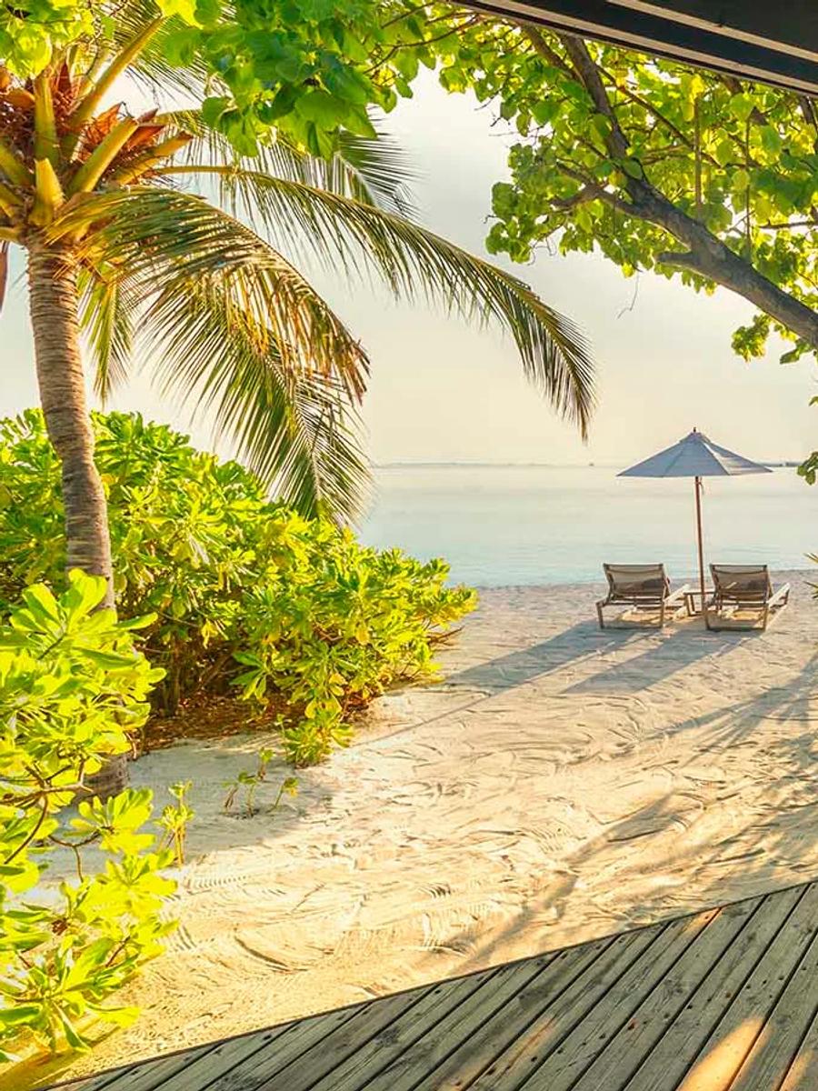 A Jacuzzi Beach Villa's shaded porch looking out through palm trees to sun loungers on the beach
