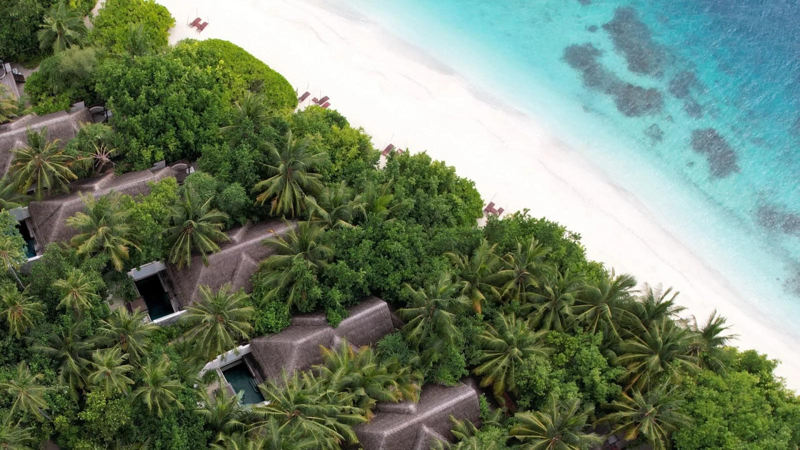 Elevated view of Beach Villa with Pool rooftops and private pools set among palm trees along Bodu Hithi's beach, reef patches visible in the shallows offshore