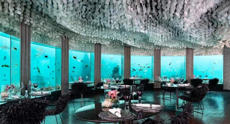 Subsix, Niyama's underwater restaurant, seen from within the lagoon