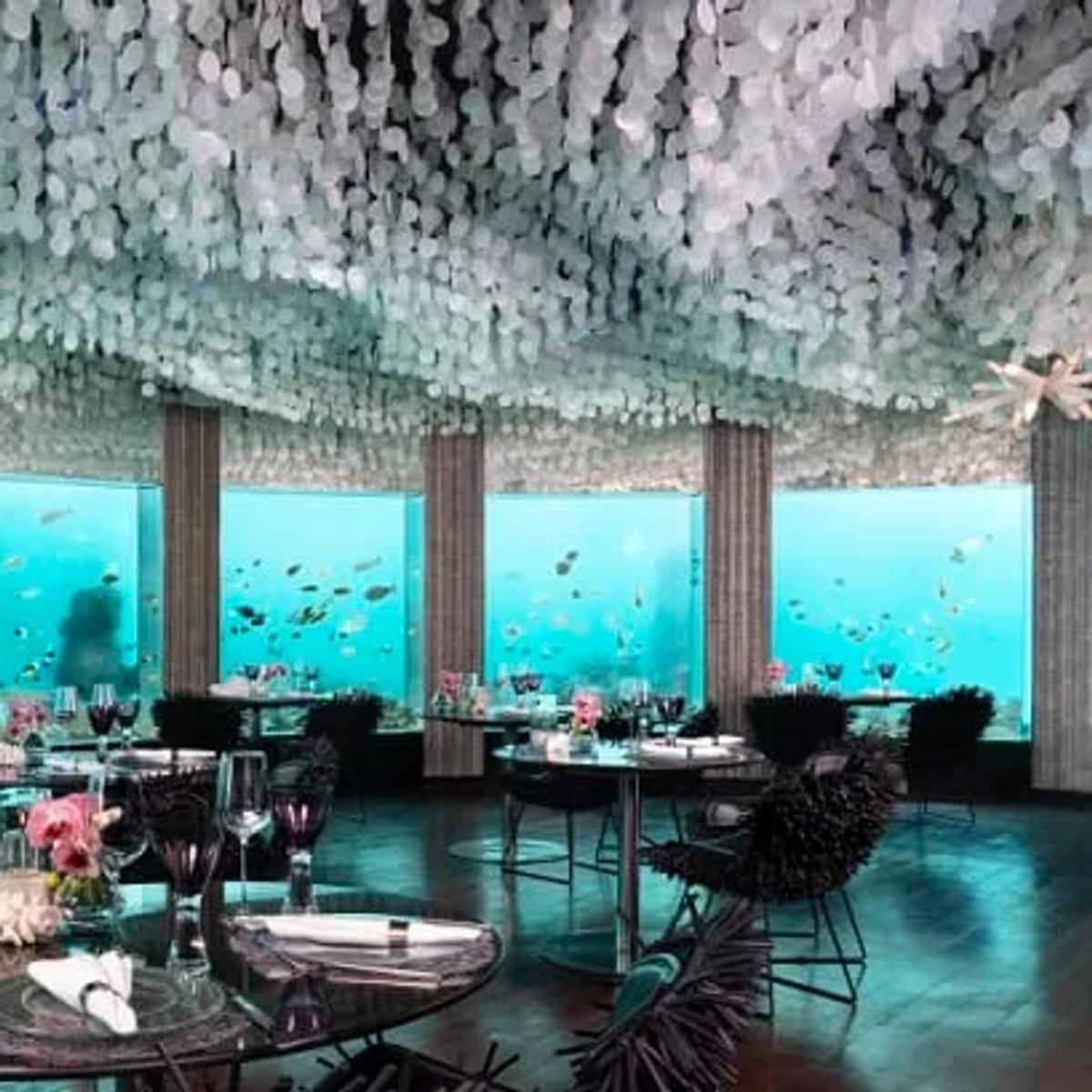 Subsix, Niyama's underwater restaurant, seen from within the lagoon