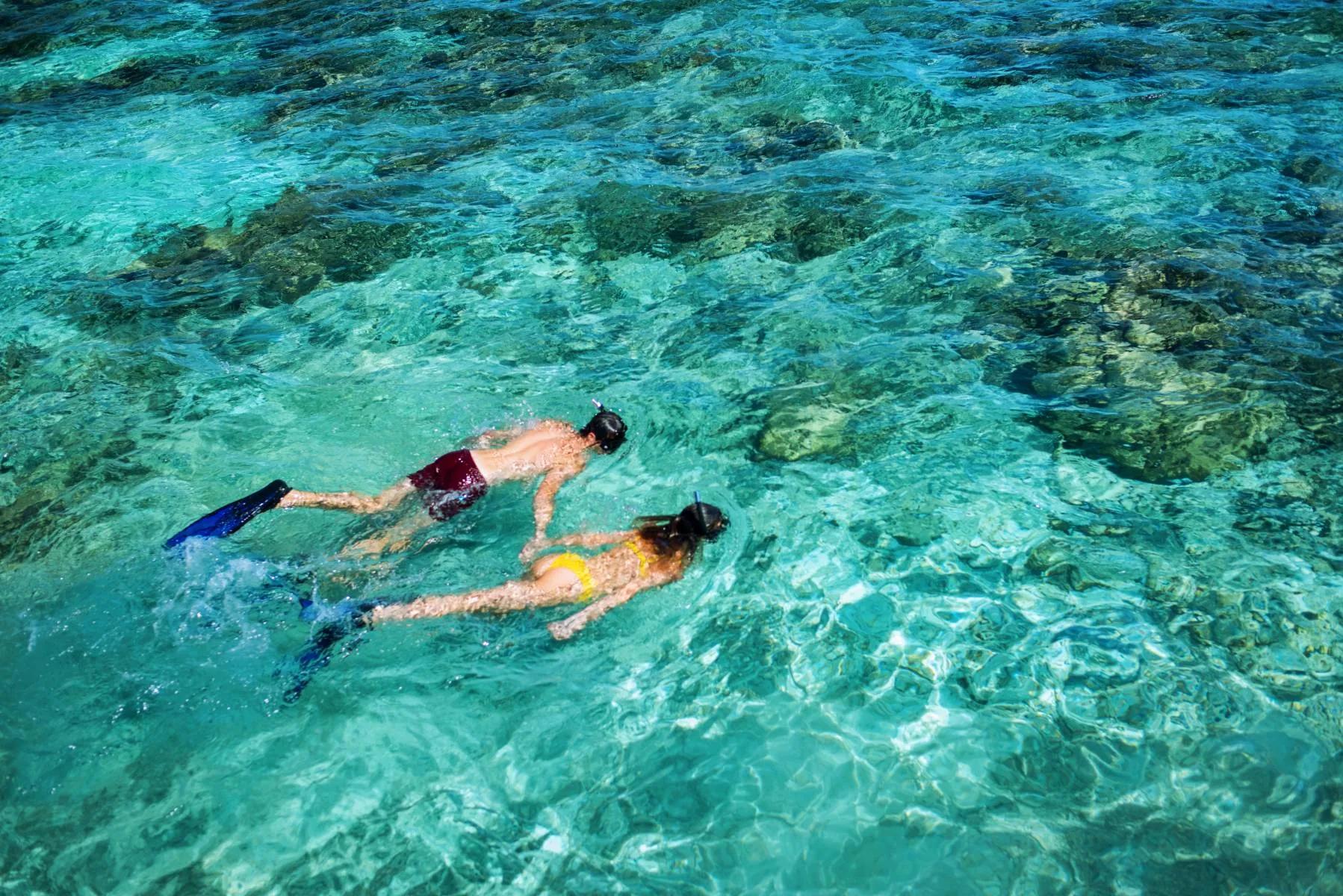 A snorkeler exploring the house reef at Mercure Maldives Kooddoo Resort