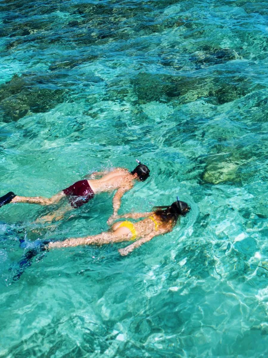 A snorkeler exploring the house reef at Mercure Maldives Kooddoo Resort