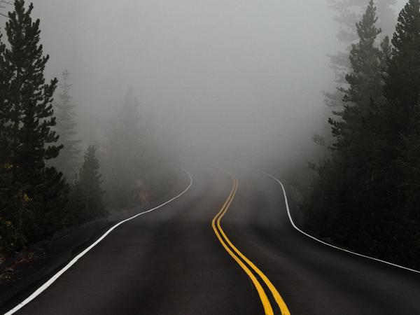 Tåkelagt, tom vei gjennom skogen.