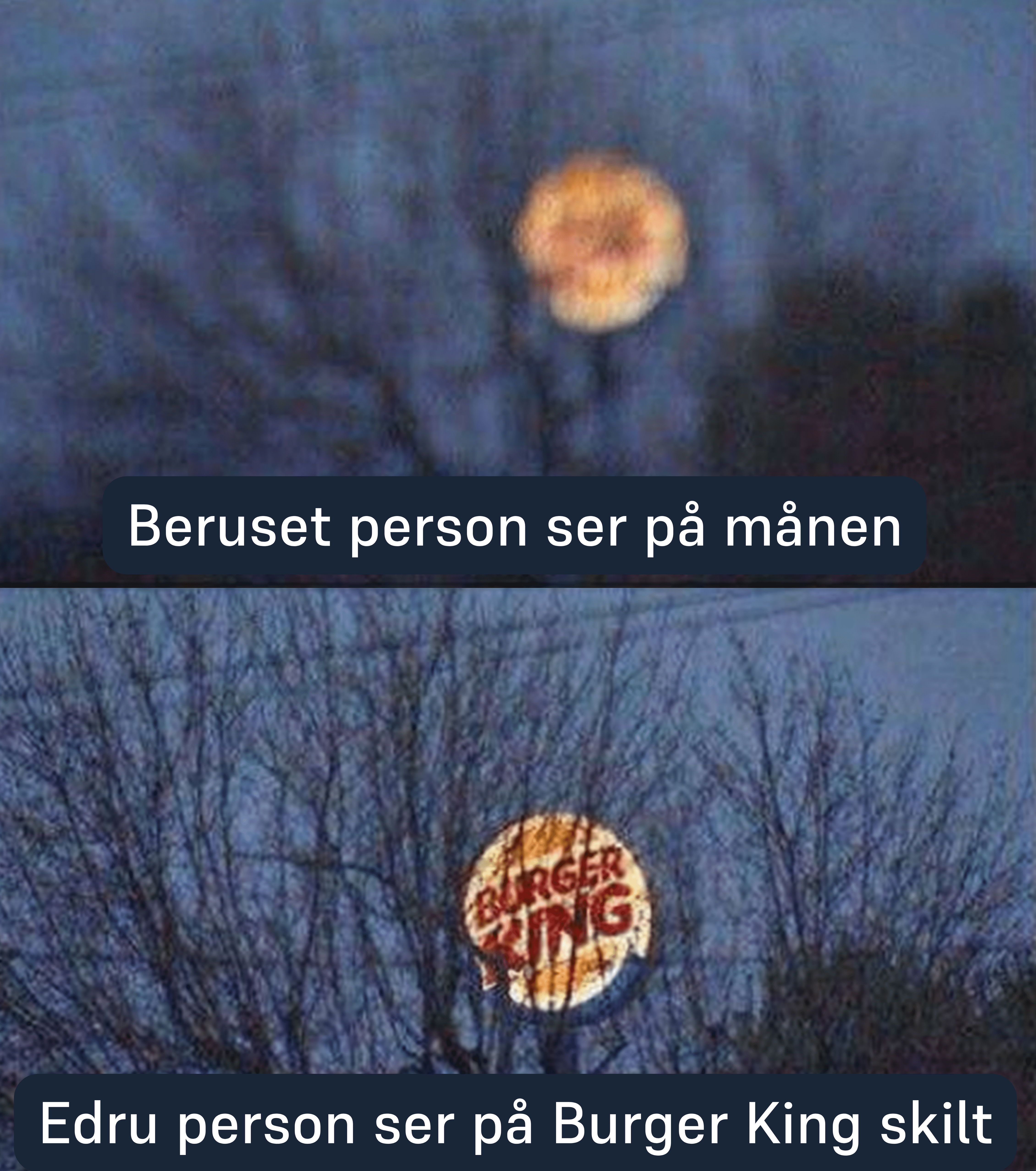 Beruset person ser på månen, mens edru person ser på Burger King skilt.