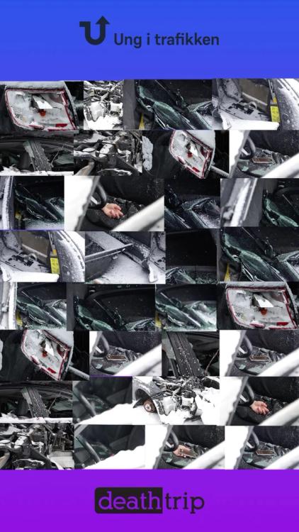 forskjellige bilder i en plakat