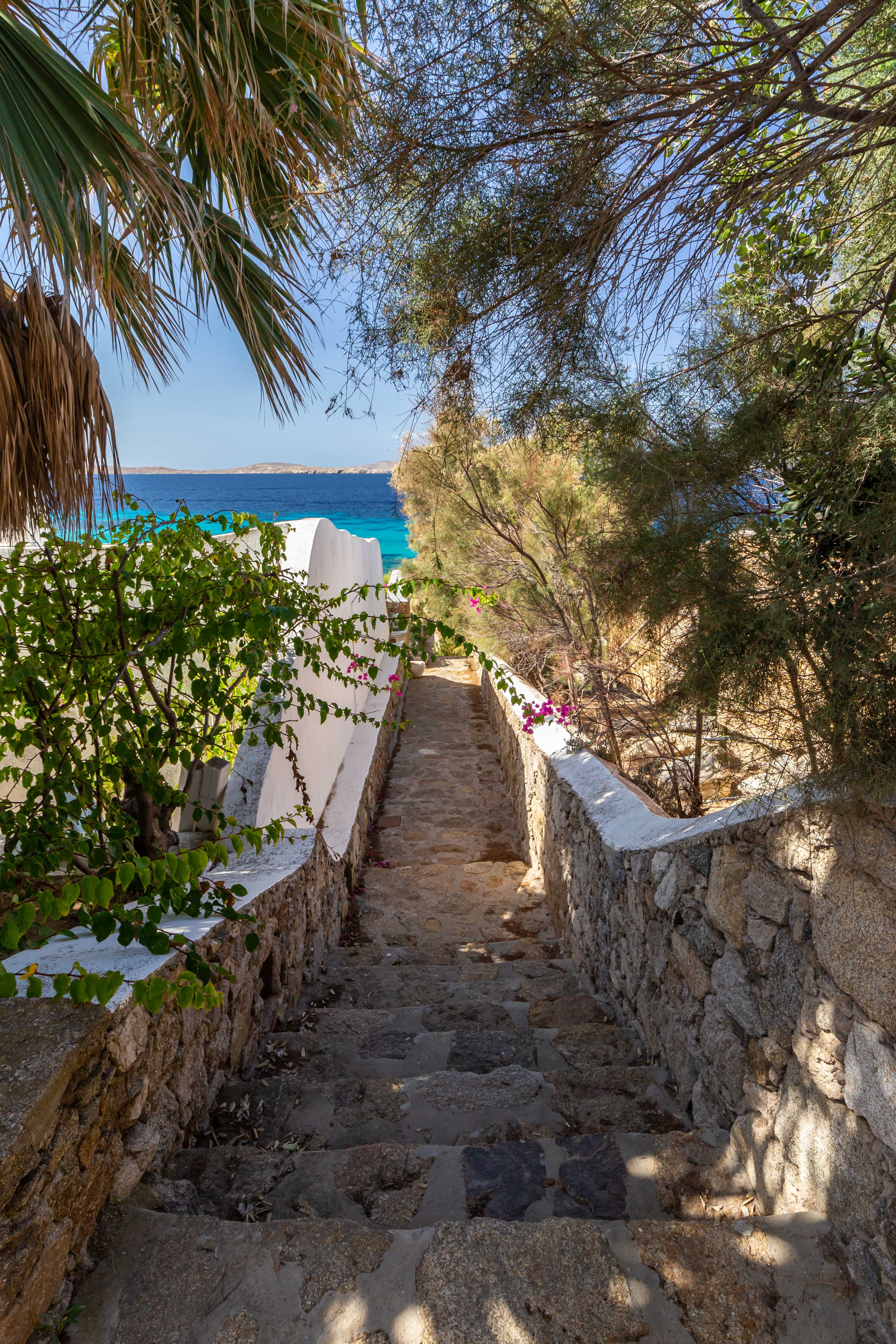 Villa Macaro Picture 4