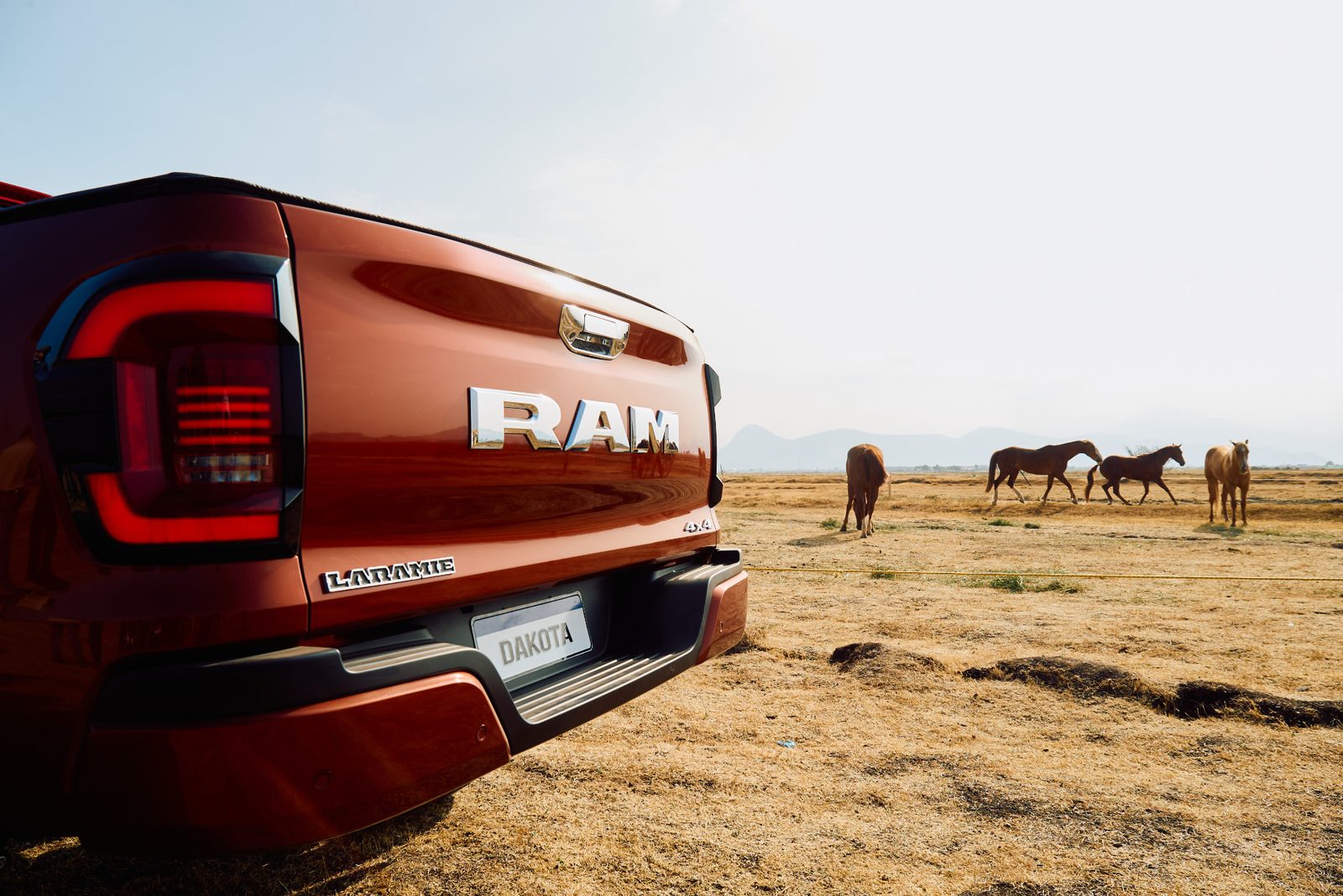 Rear of a RAM Dakota Laramie parked in a golden pasture with horses grazing behind it