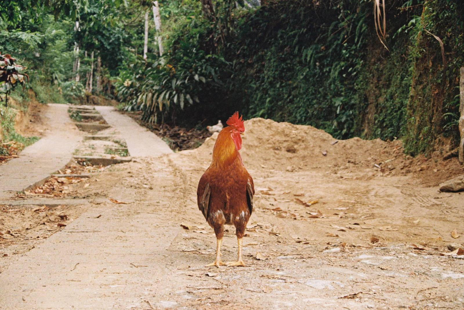 Ellie's birthday fundraiser 🎉