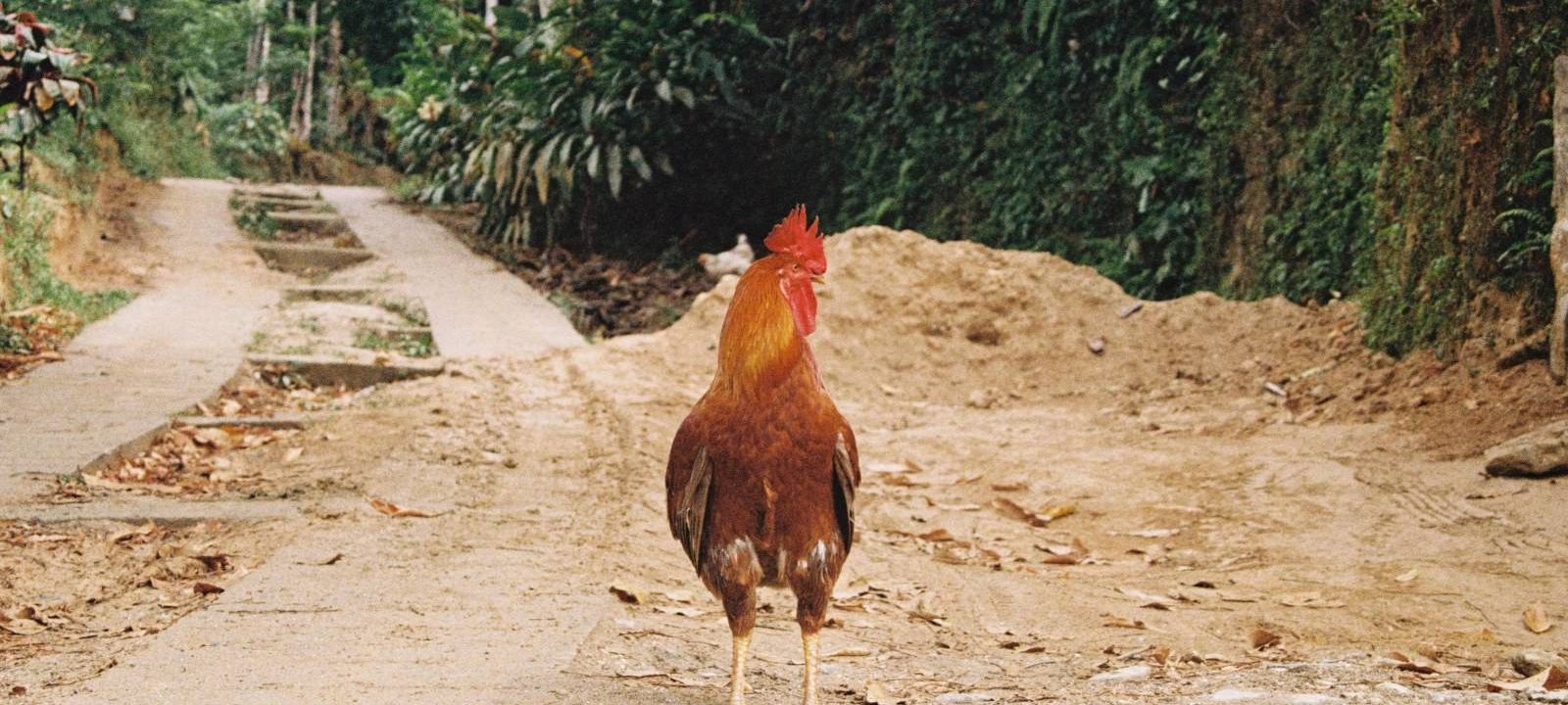 Ellie's birthday fundraiser 🎉