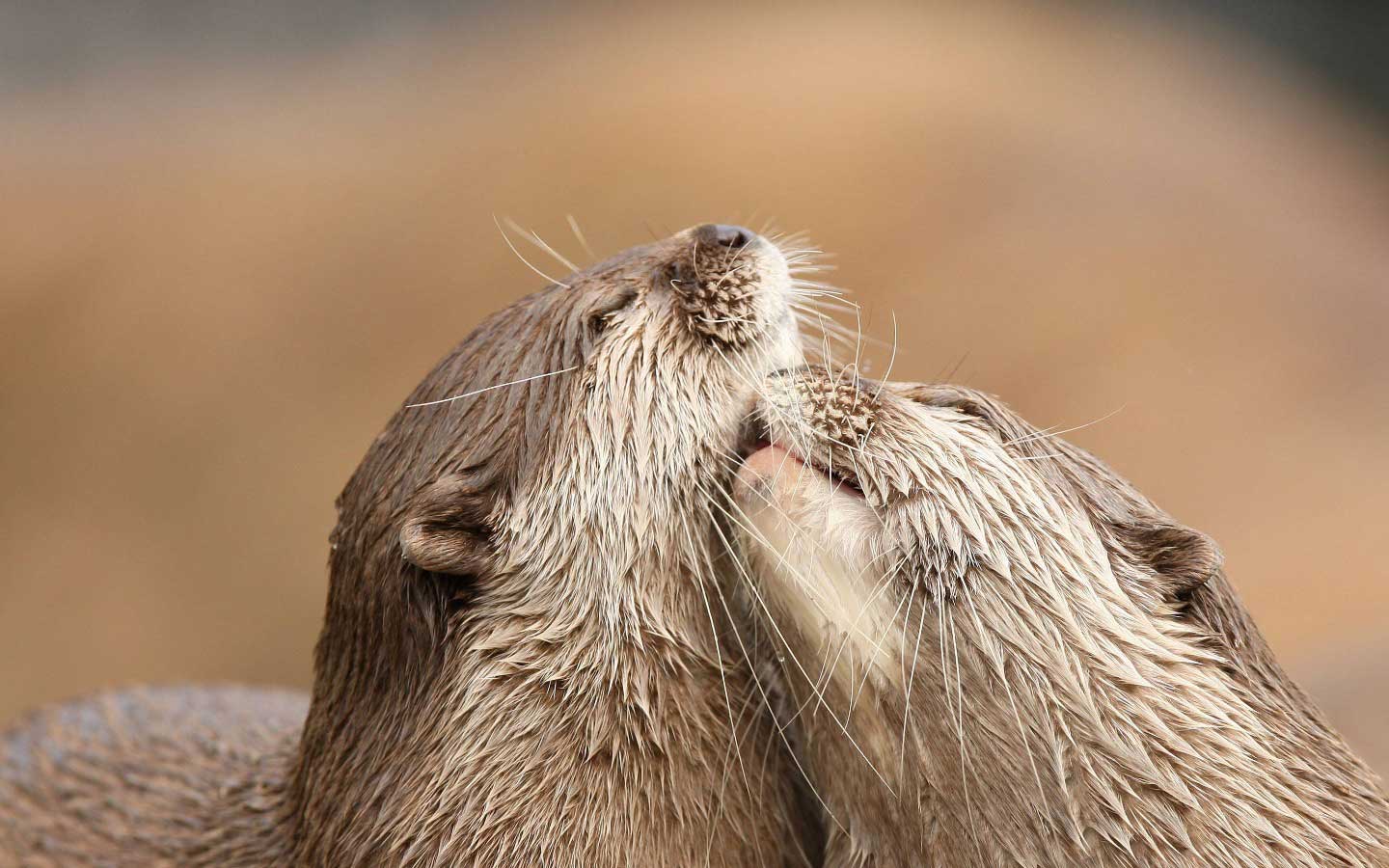 Une façon simple et altruiste de me souhaiter bon anniversaire