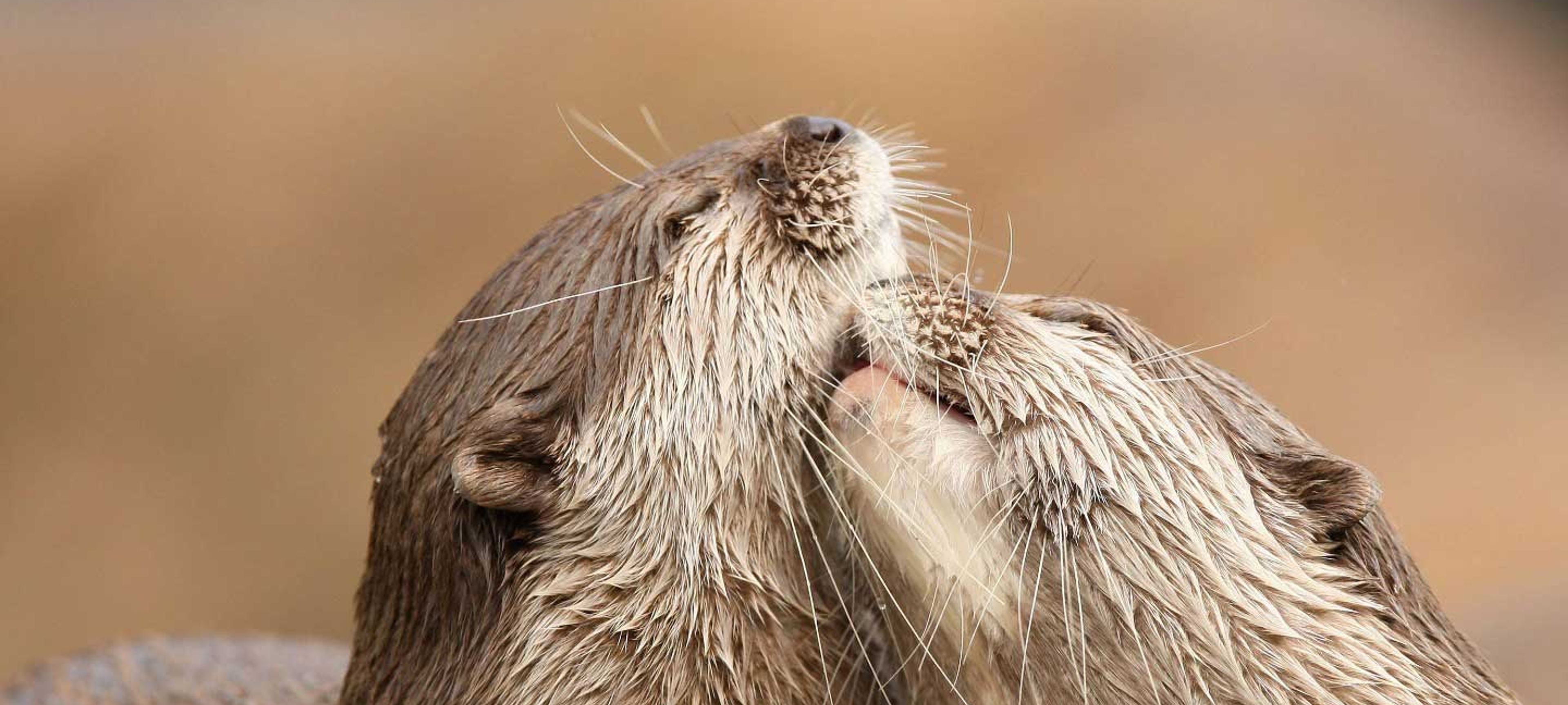 Une façon simple et altruiste de me souhaiter bon anniversaire