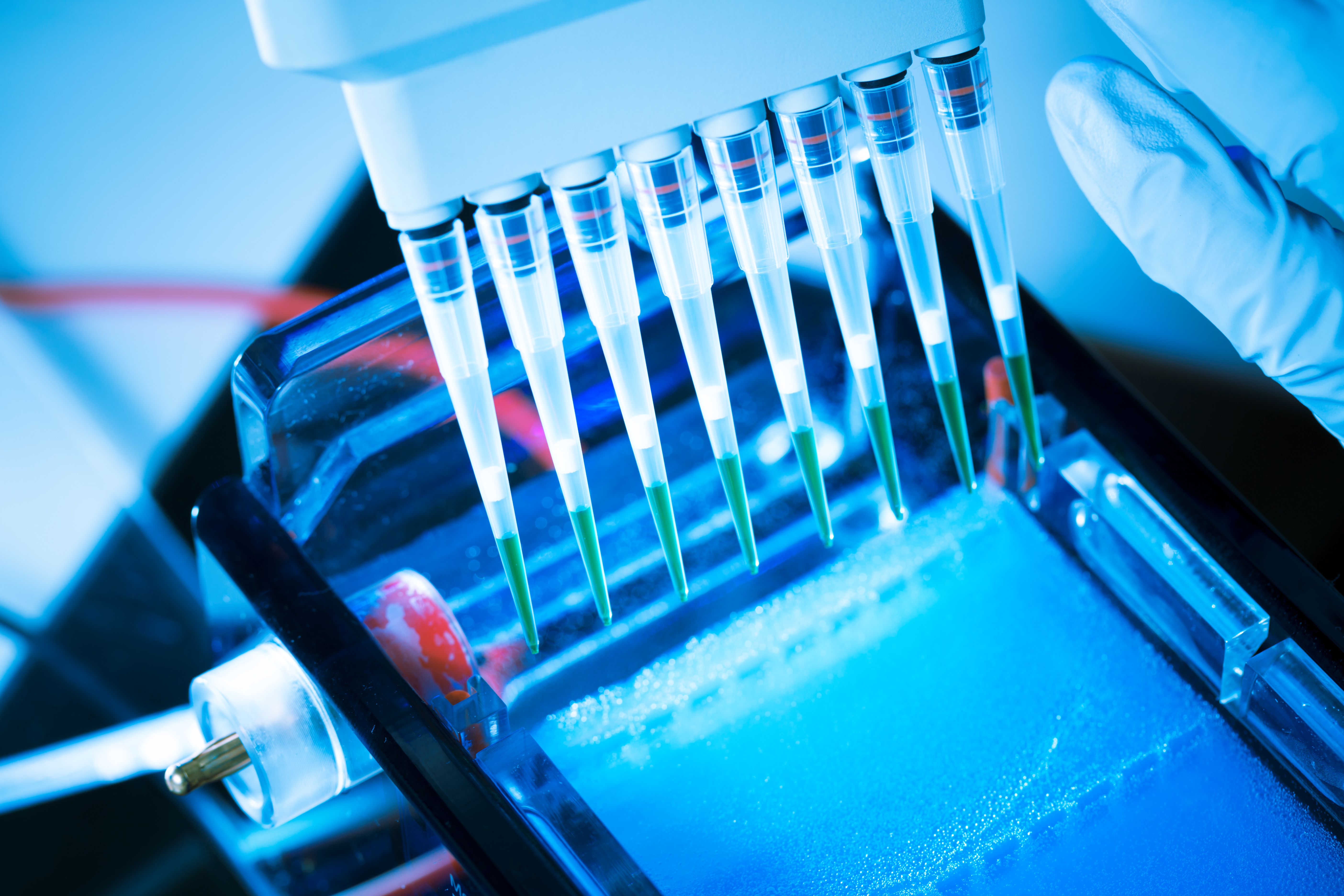 Should we give to SCI or fund research into schistosomiasis?