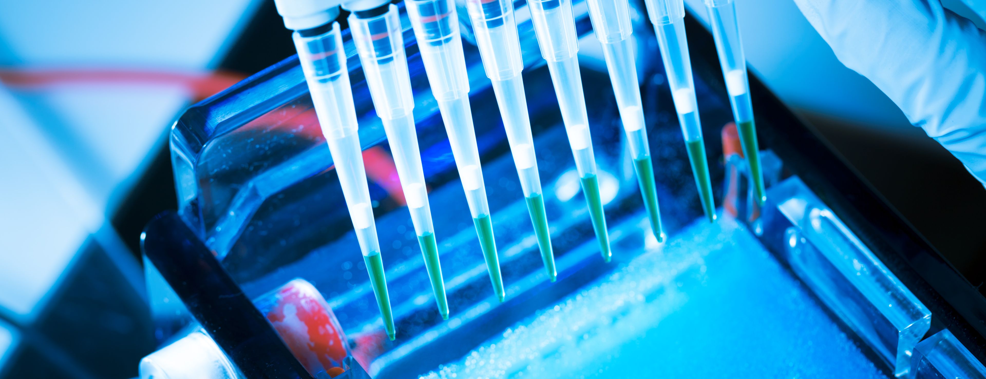 Should we give to SCI or fund research into schistosomiasis?