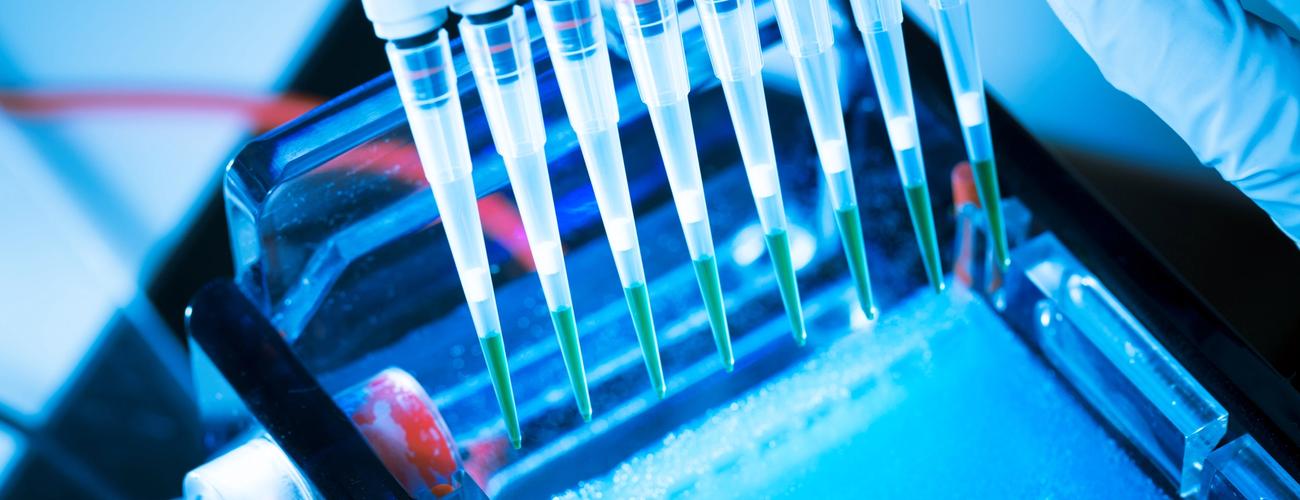 Should we give to SCI or fund research into schistosomiasis?