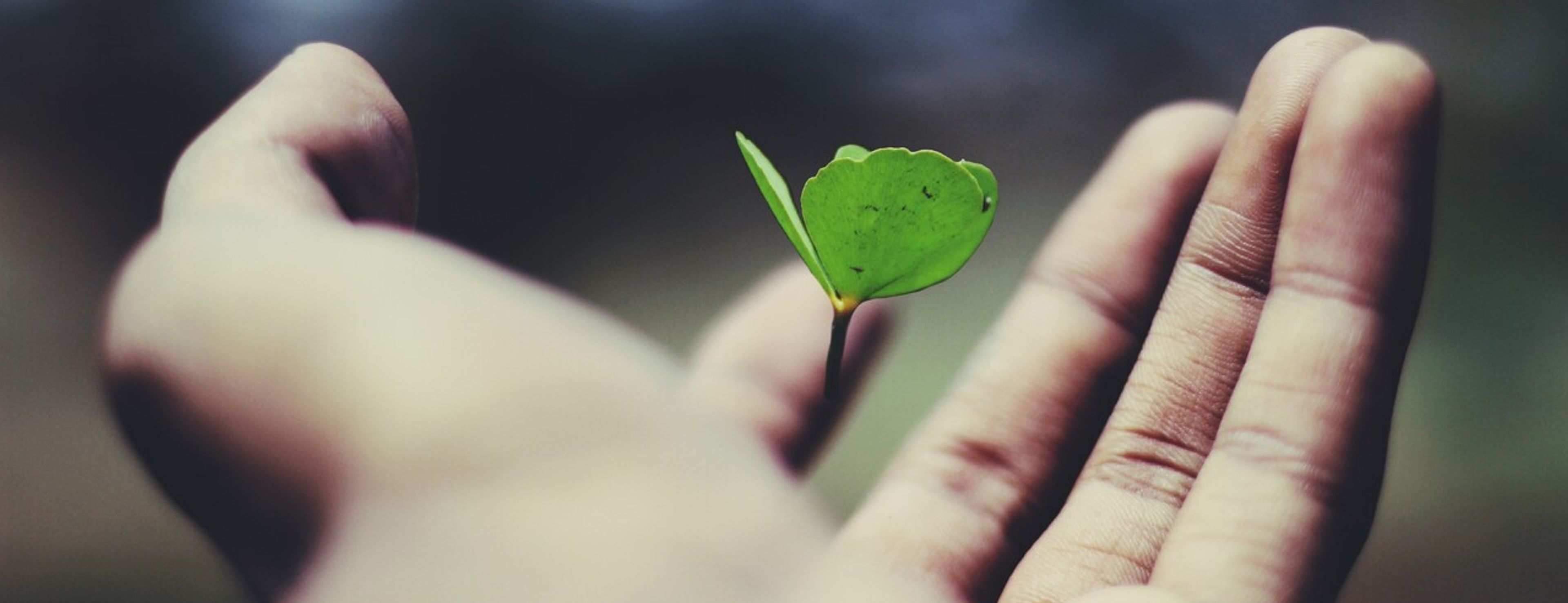 Doing Good as a Consultant