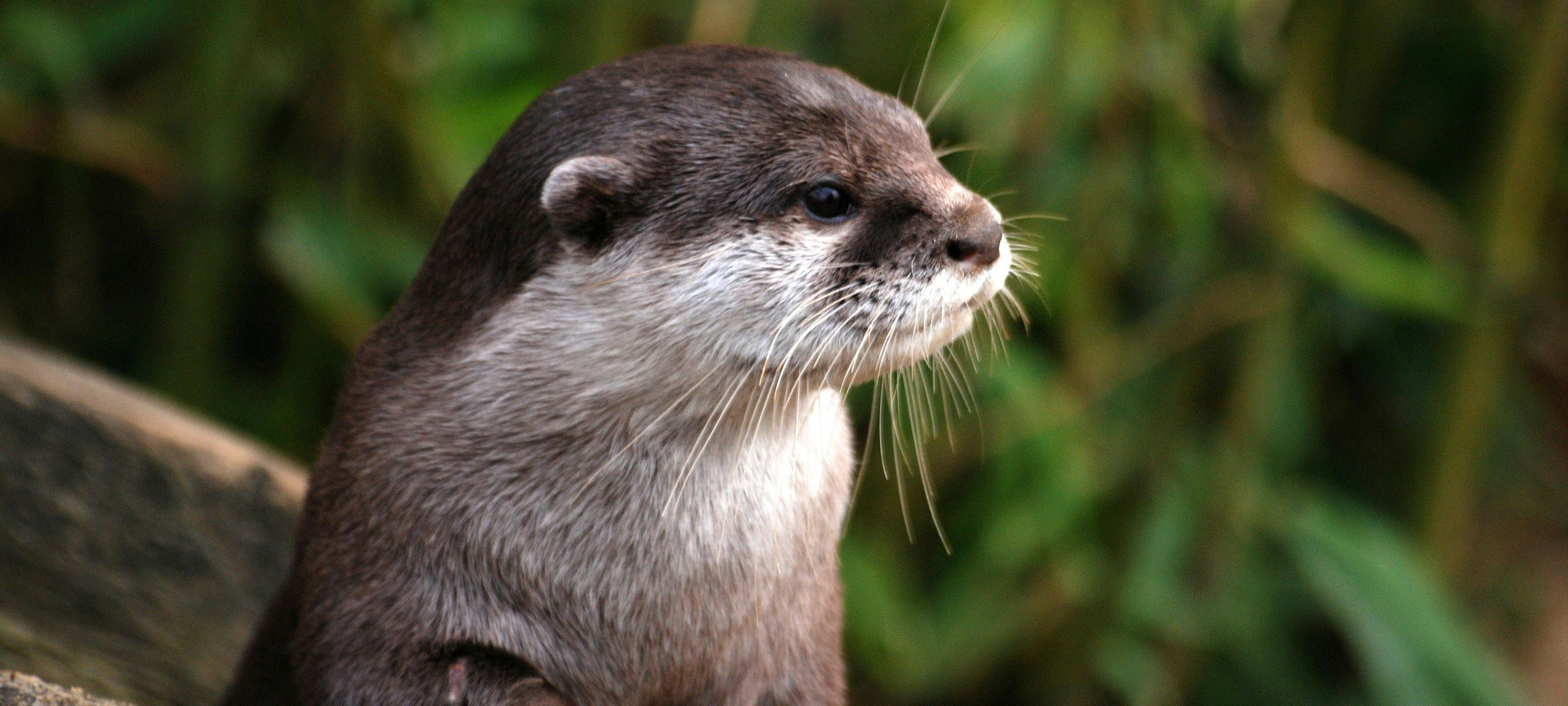 Collecte de dons pour l'anniversaire de Léa