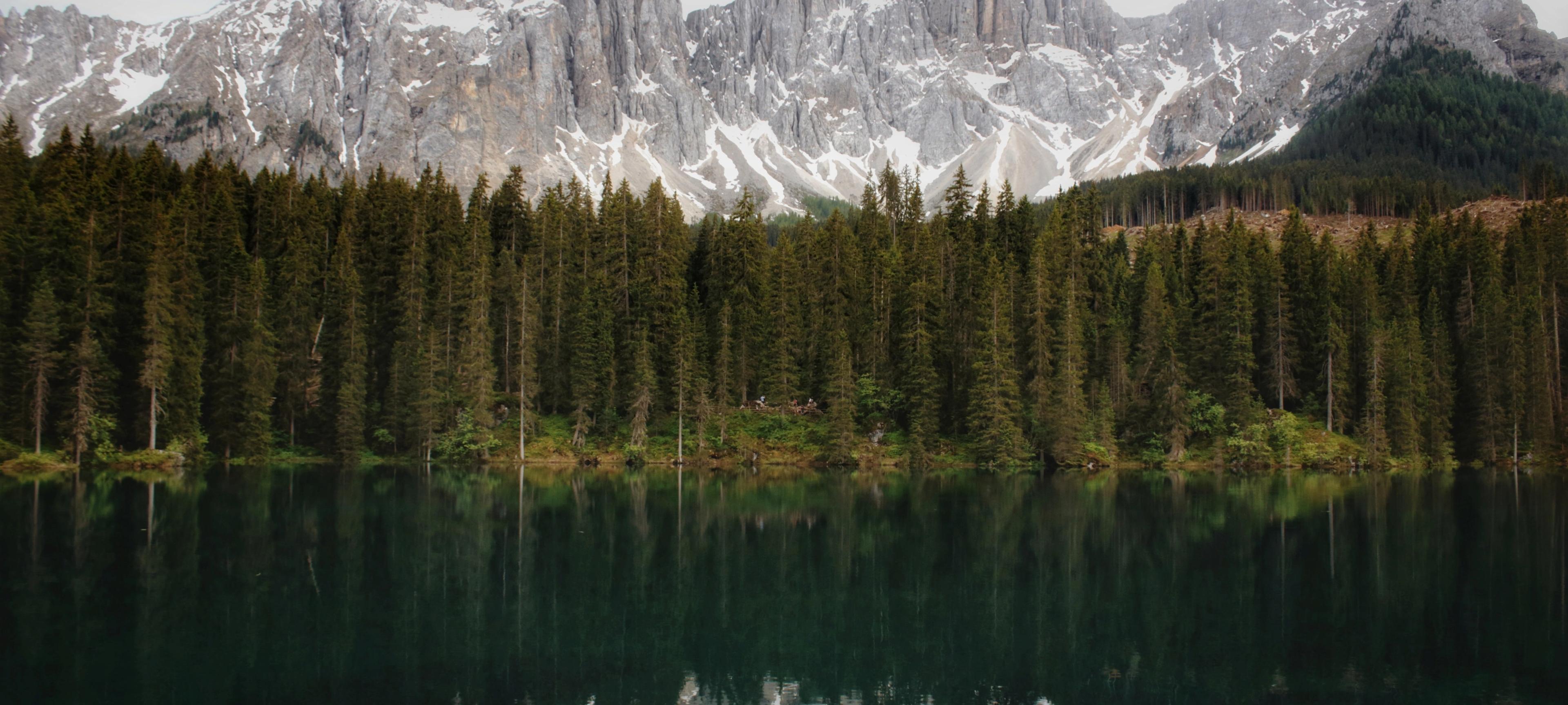 Cundall Christmas Quiz Fundraiser