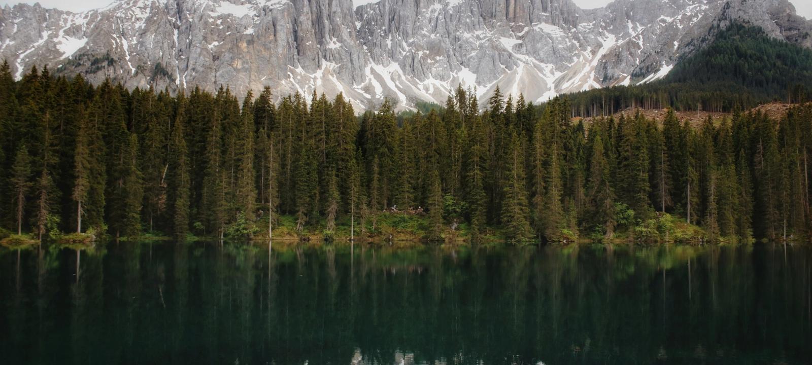 Cundall Christmas Quiz Fundraiser