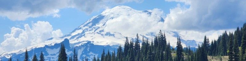 Hana's Birthday for Climate!