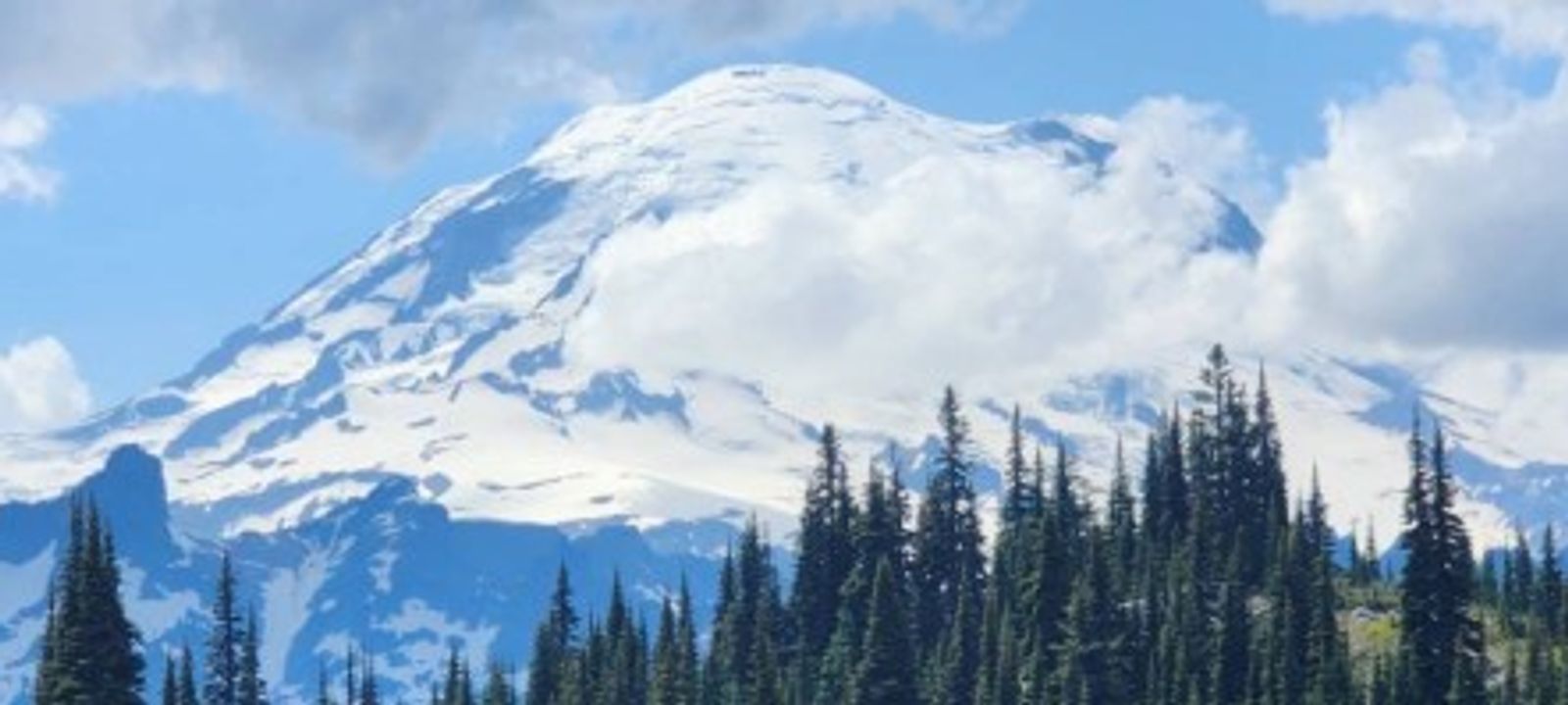 Hana's Birthday for Climate!