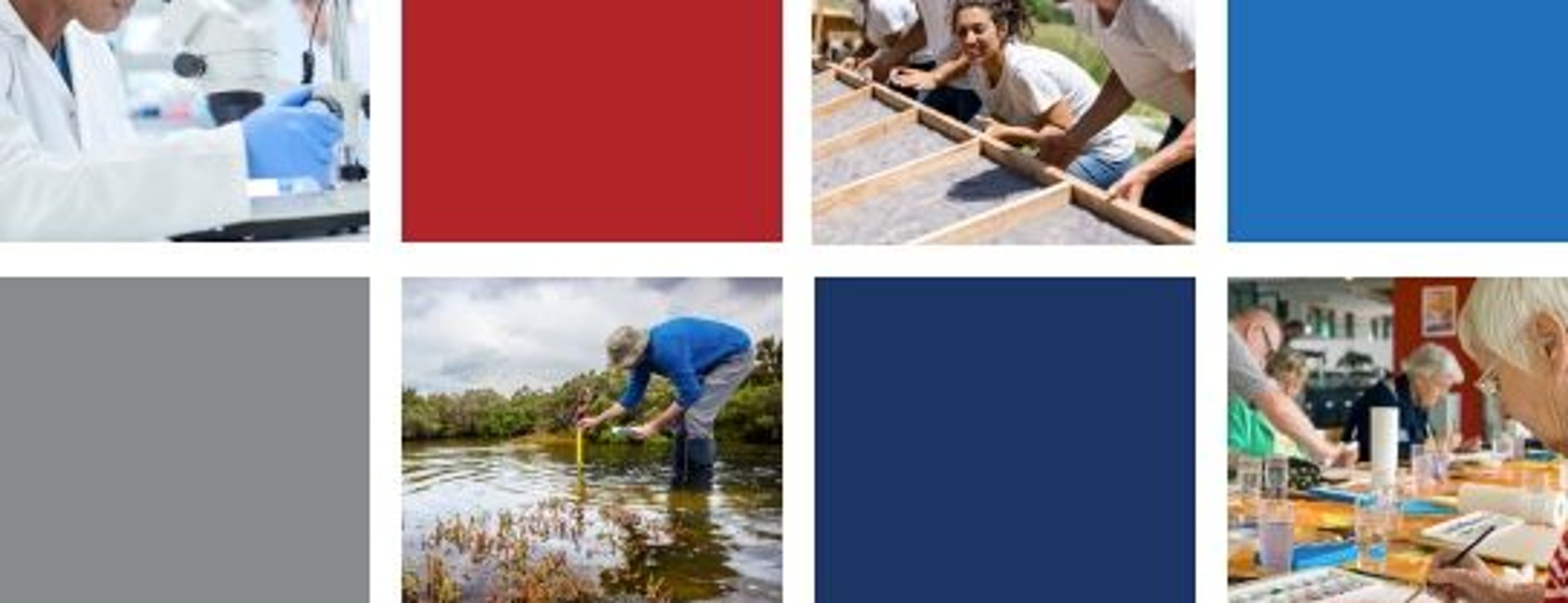 GWWC Newsletter: September 2024