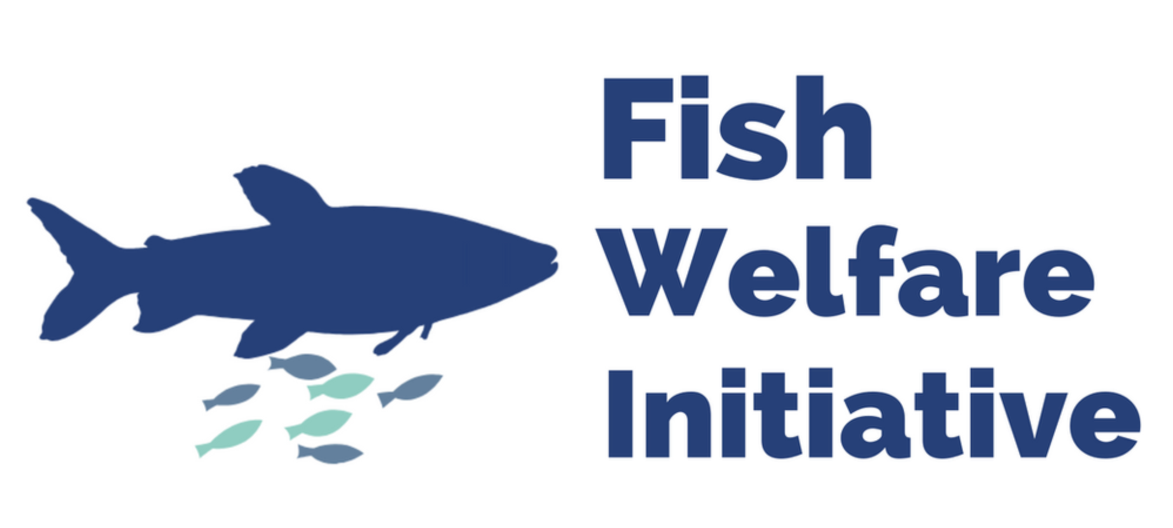 Election Candidate: Fish Welfare Initiative
