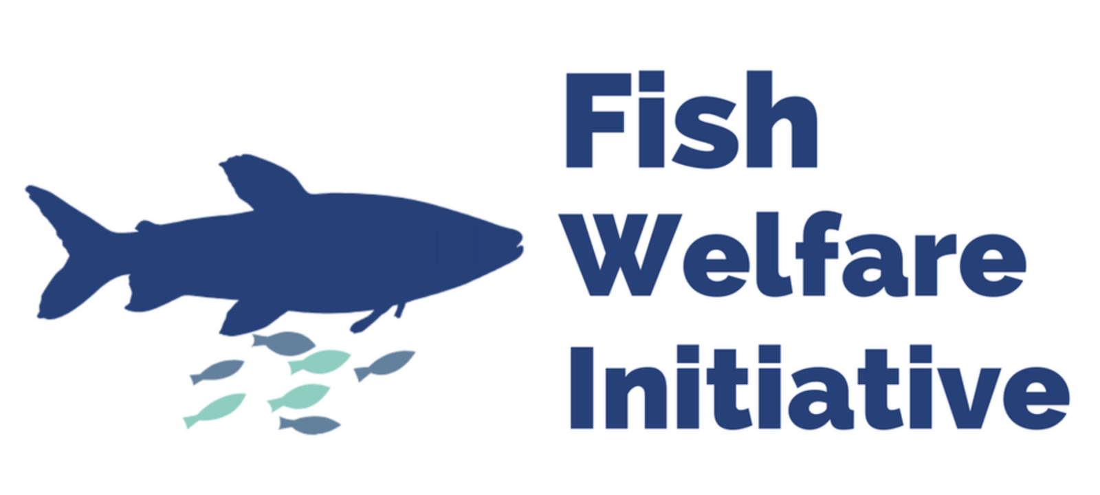 Election Candidate: Fish Welfare Initiative