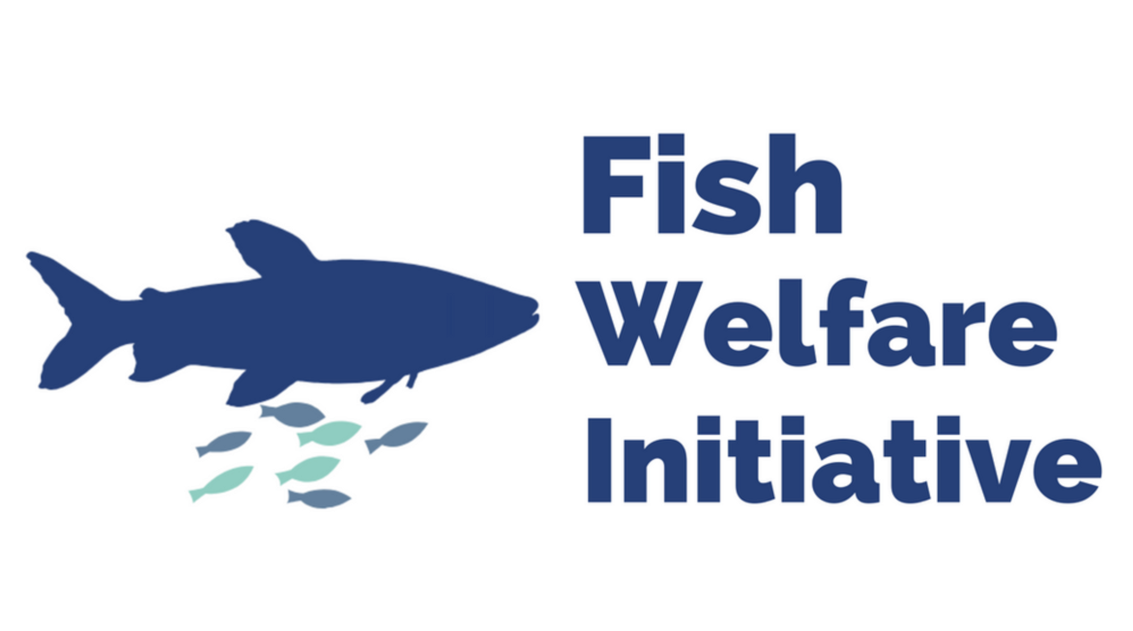 Election Candidate: Fish Welfare Initiative