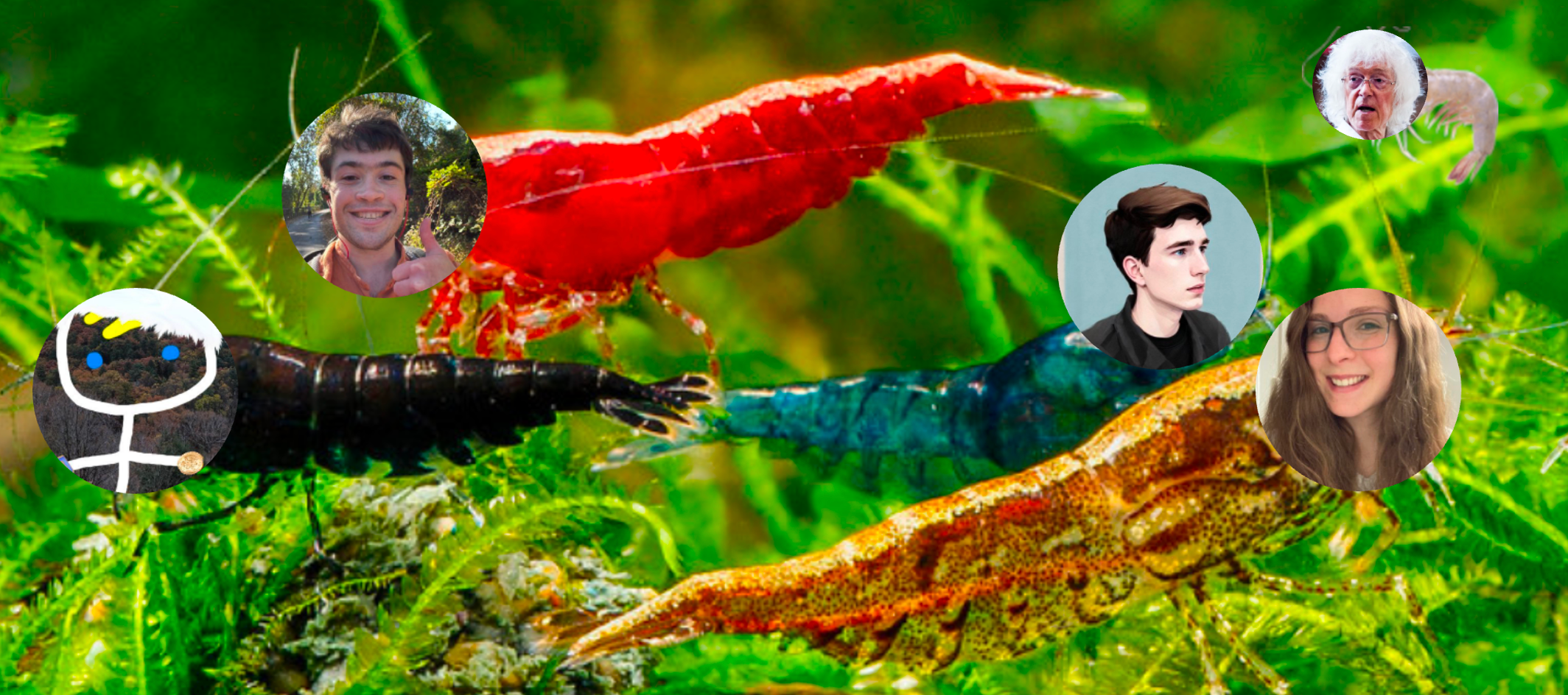 EA Twitter 2023 Giving Season Fundraiser