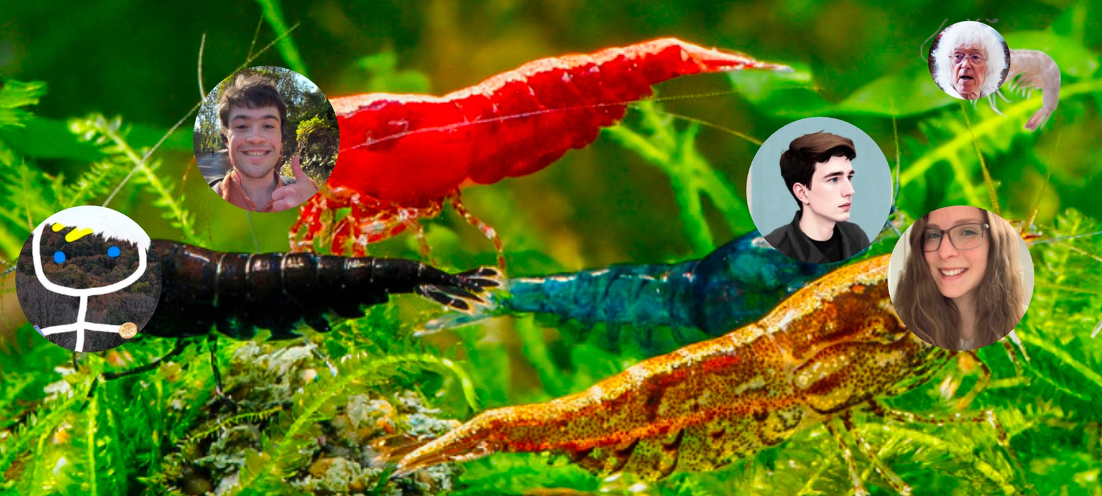 EA Twitter 2023 Giving Season Fundraiser