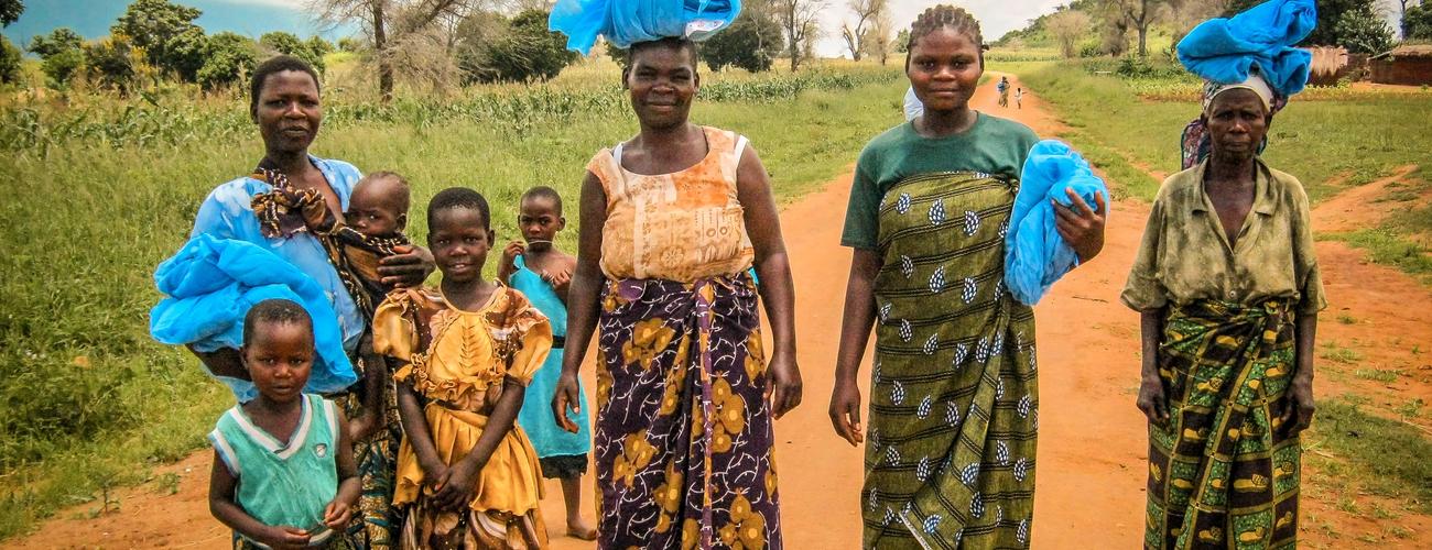 Could parasites be making vaccinations less effective in developing countries?