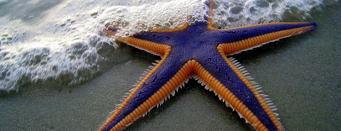 Recalibrating for sustainable giving