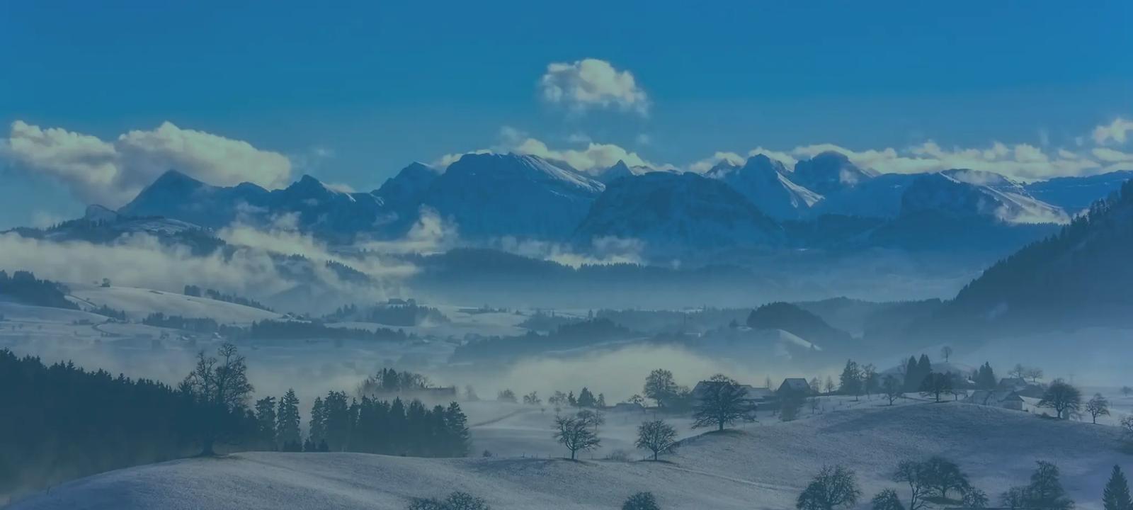 Election Candidate: Rethink Priorities