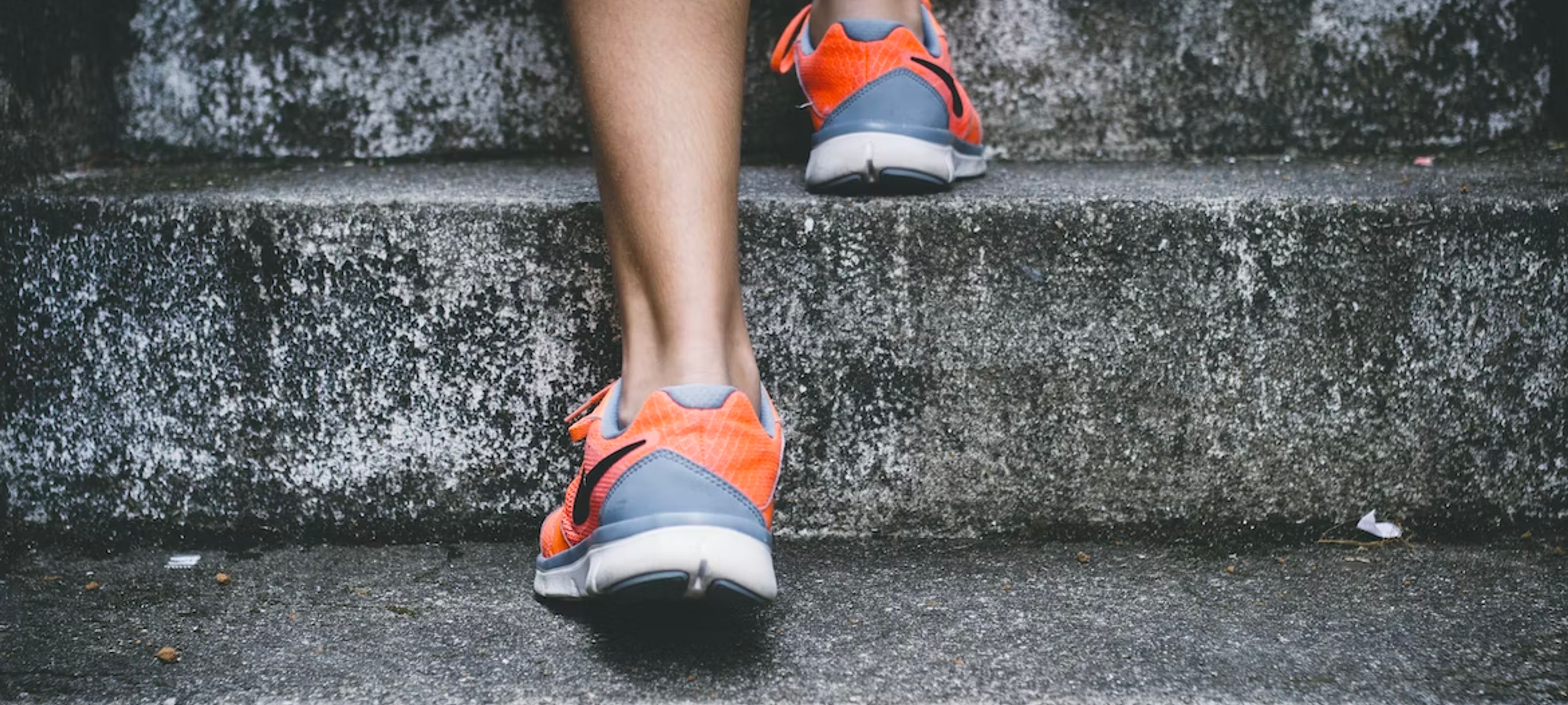 Lydia's Half-Marathon Fundraiser