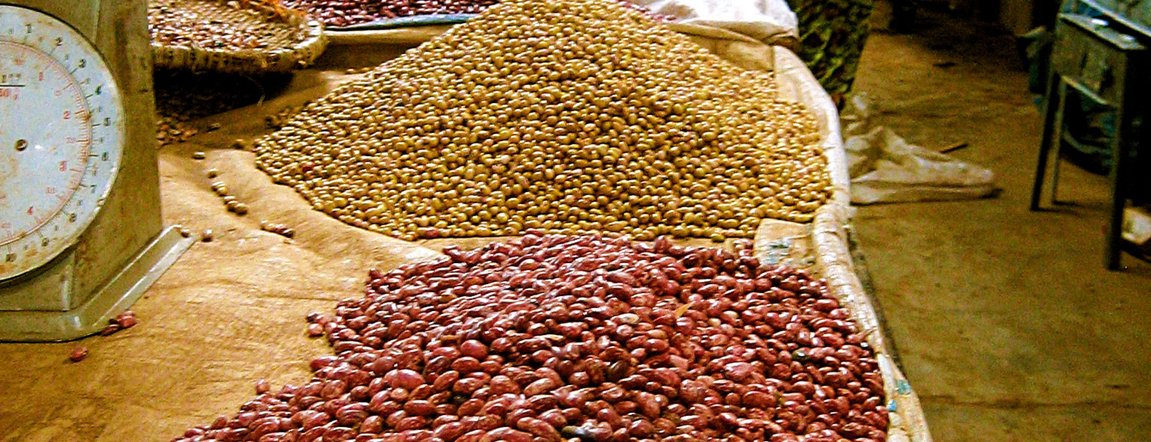 Did iodized salt raise the IQ of 50 million Americans by 15 points?