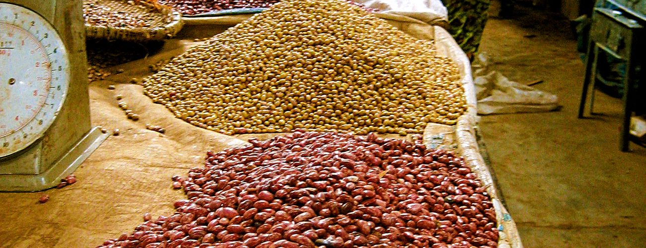 Did iodized salt raise the IQ of 50 million Americans by 15 points?