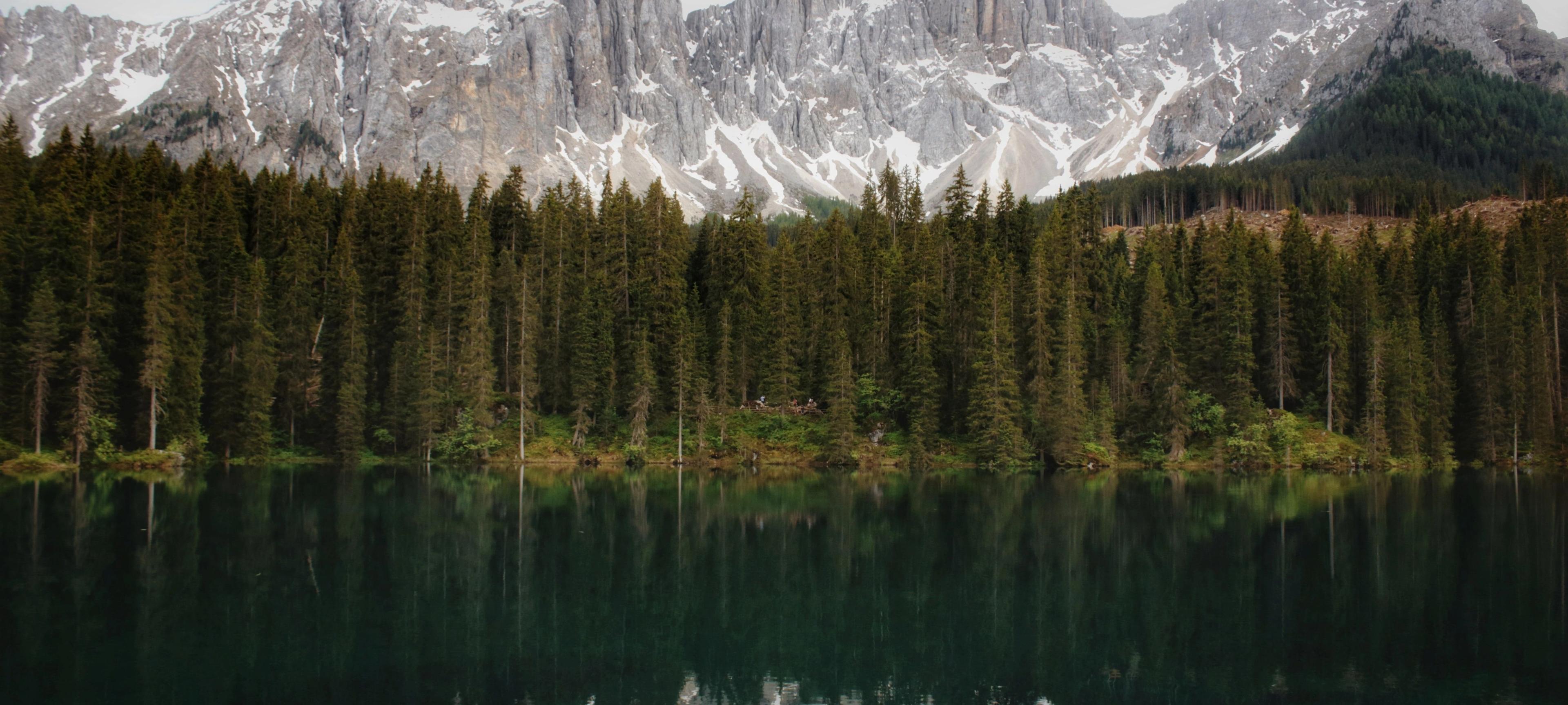 CPD Course Donation: Effective Climate Action for Guides and Guiding Companies